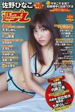 乡村爱情变奏曲2